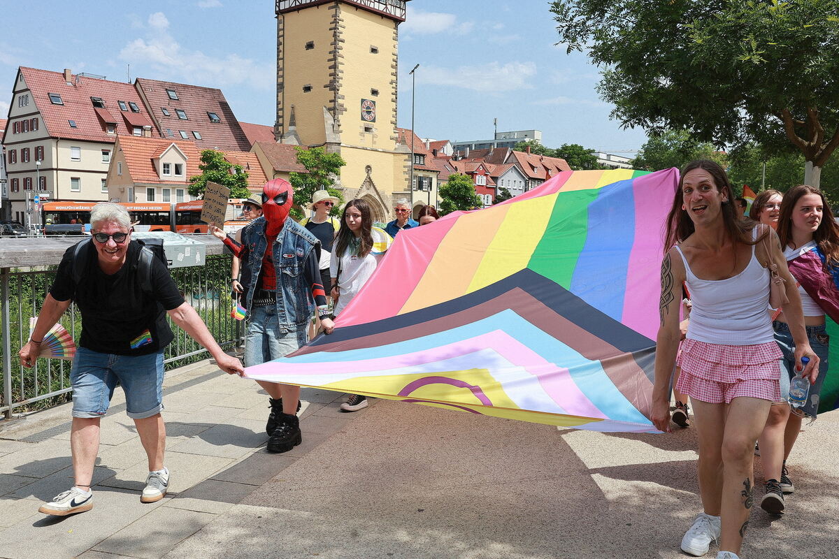 CSD_RT_diet_140625__30