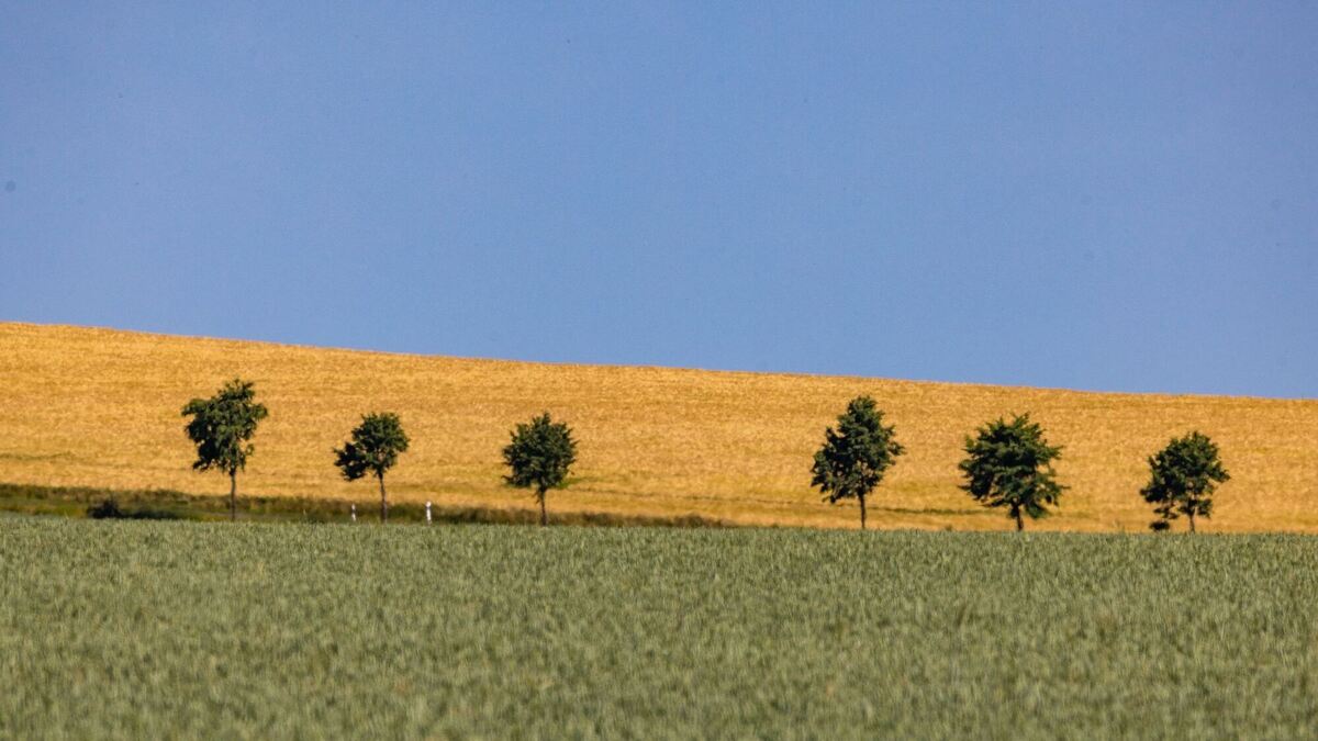 Sommerliches Wetter in Sachsen Sommerliches Wetter in Sachsen