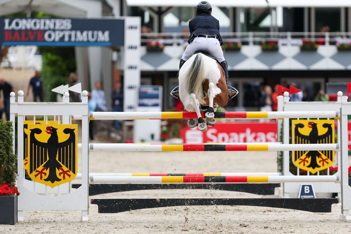 Pferdesport/Springen: Deutsche Meisterschaft
