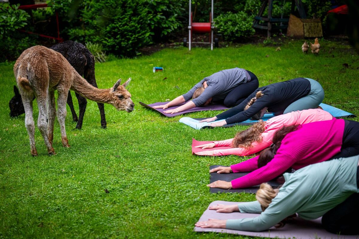 Yoga-Kurse an ungewöhnlichen Orten Yoga-Kurse an ungewöhnlichen Orten