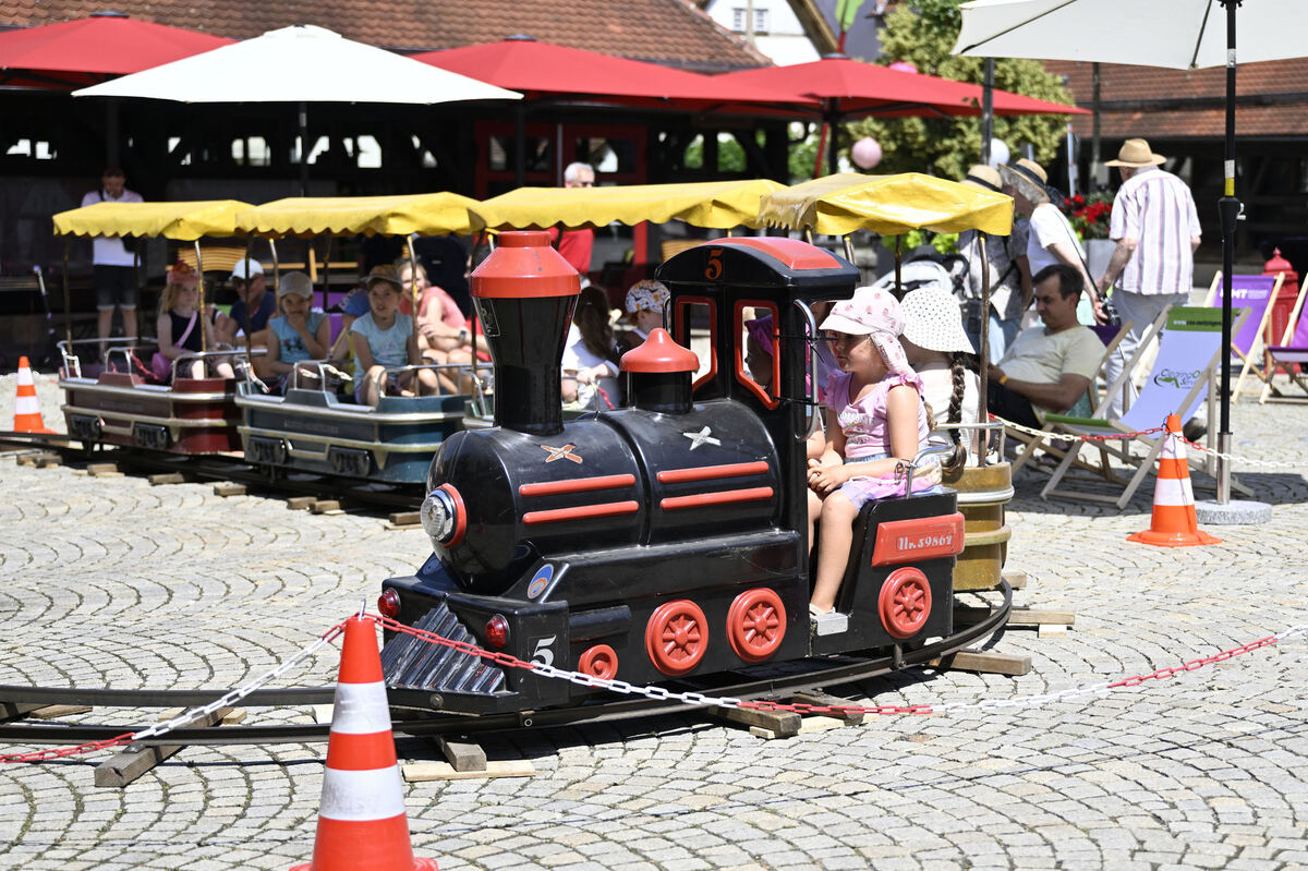 mauldeschafeschdival_25_pieth_12