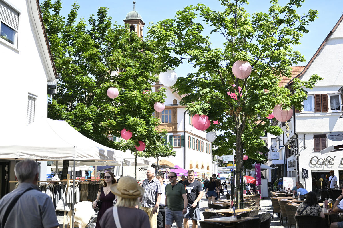 mauldeschafeschdival_25_pieth_31