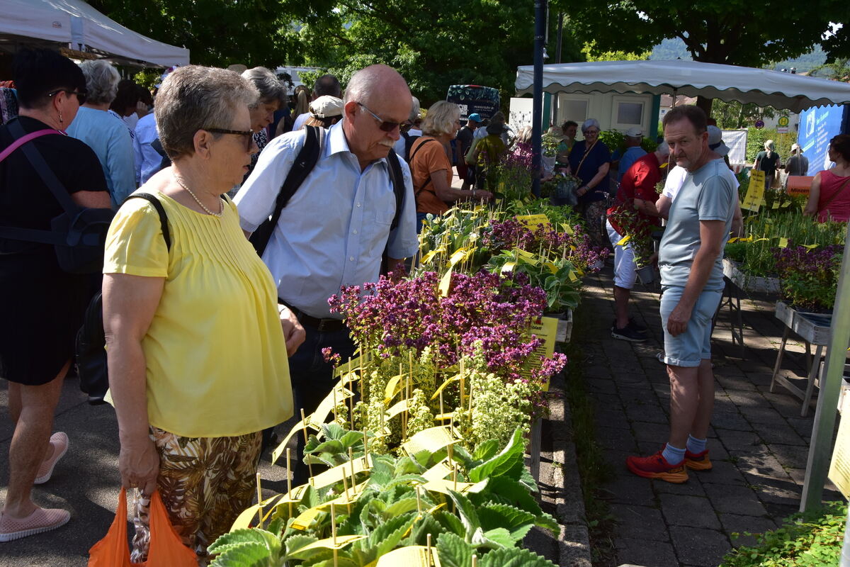 Rosenmarkt Mössingen FOTO MEYER003