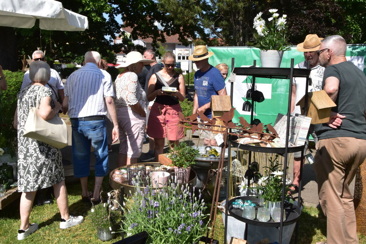 Rosenmarkt Mössingen FOTO MEYER012