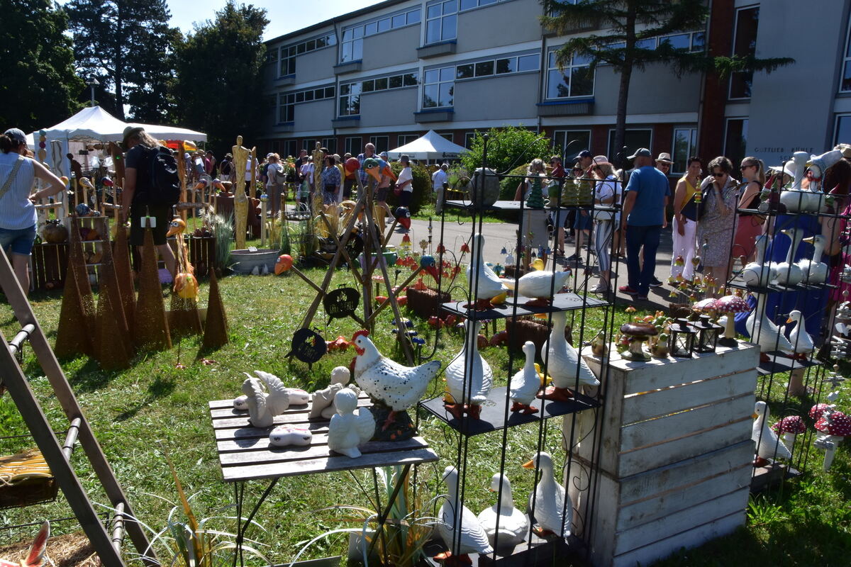 Rosenmarkt Mössingen FOTO MEYER017