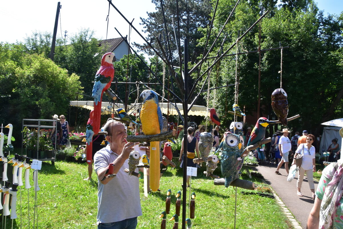 Rosenmarkt Mössingen FOTO MEYER025