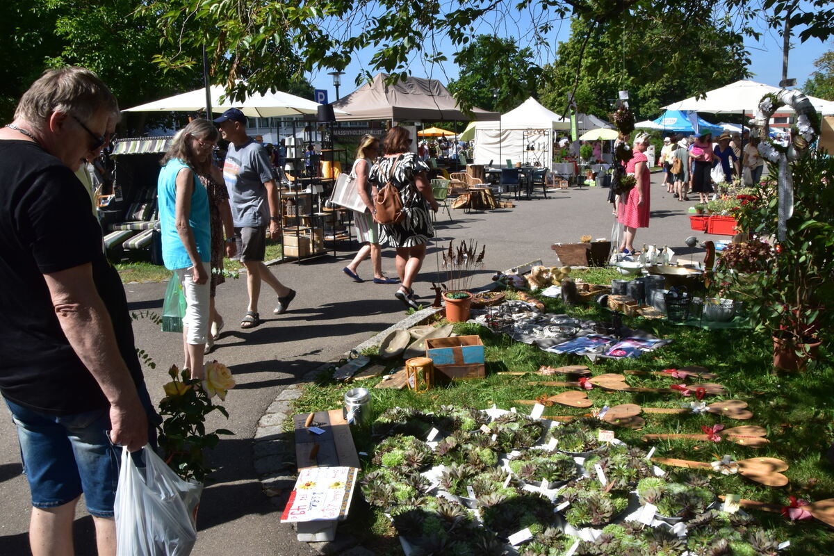 Rosenmarkt Mössingen FOTO MEYER026