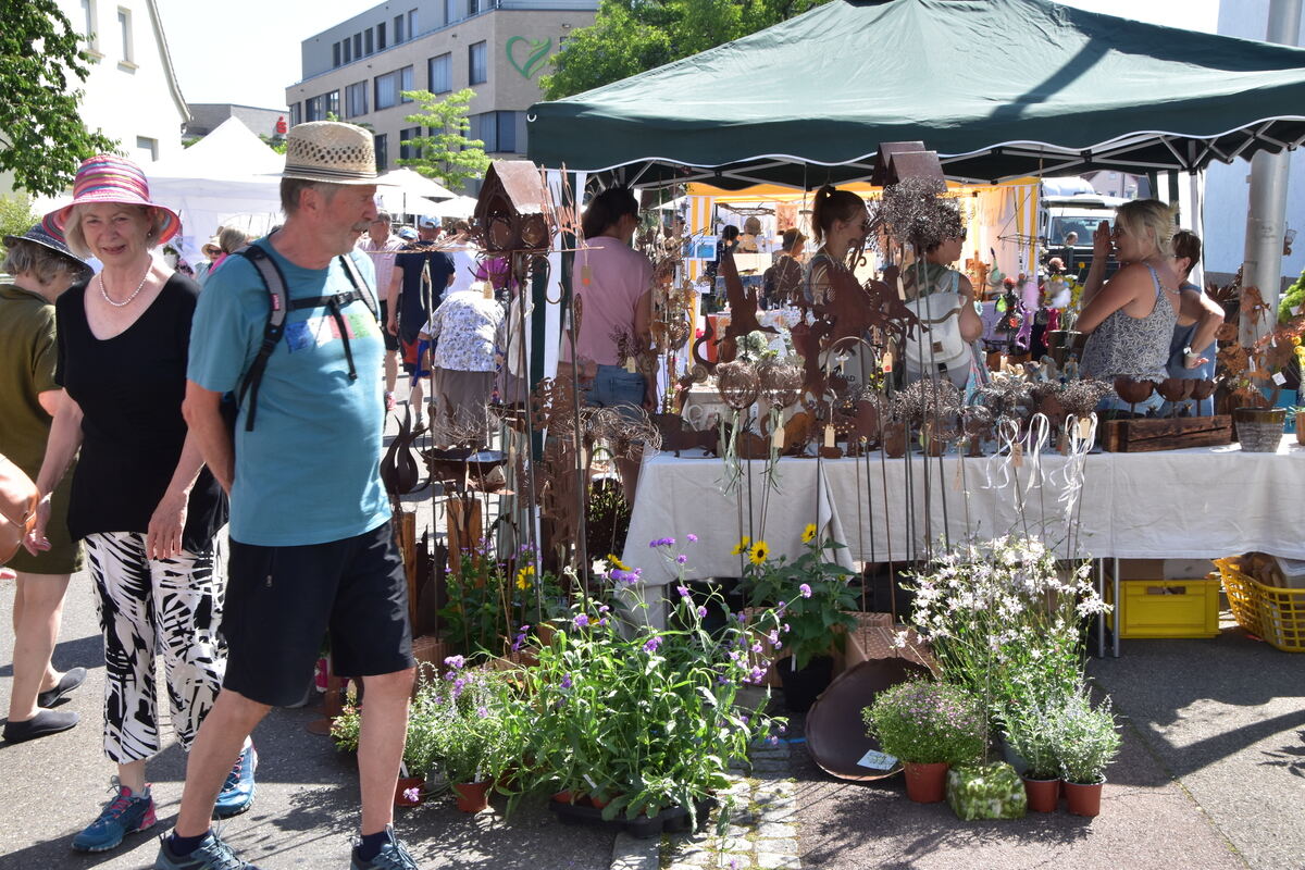Rosenmarkt Mössingen FOTO MEYER029