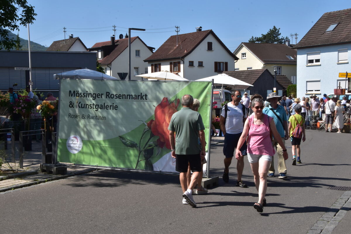 Rosenmarkt Mössingen FOTO MEYER034