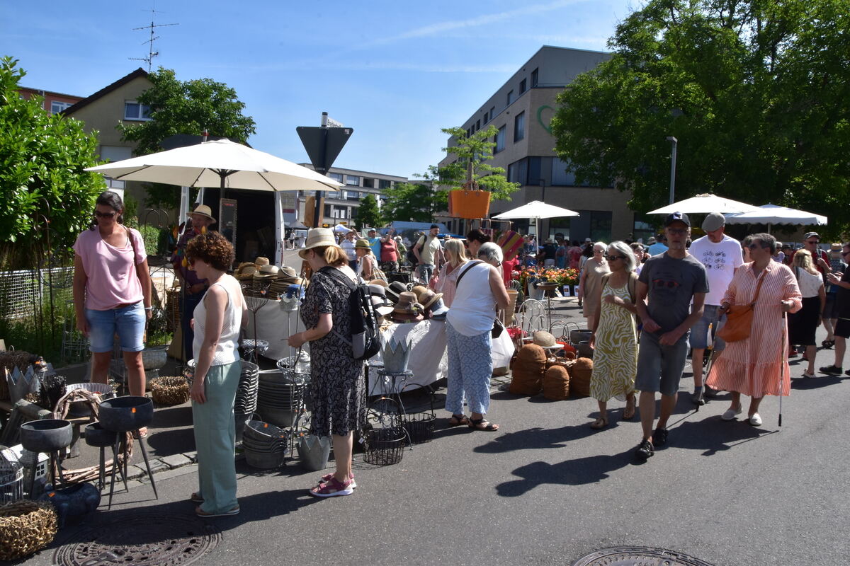 Rosenmarkt Mössingen FOTO MEYER038