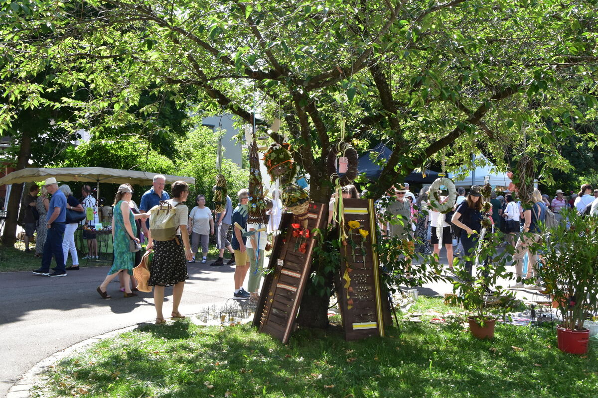 Rosenmarkt Mössingen FOTO MEYER043