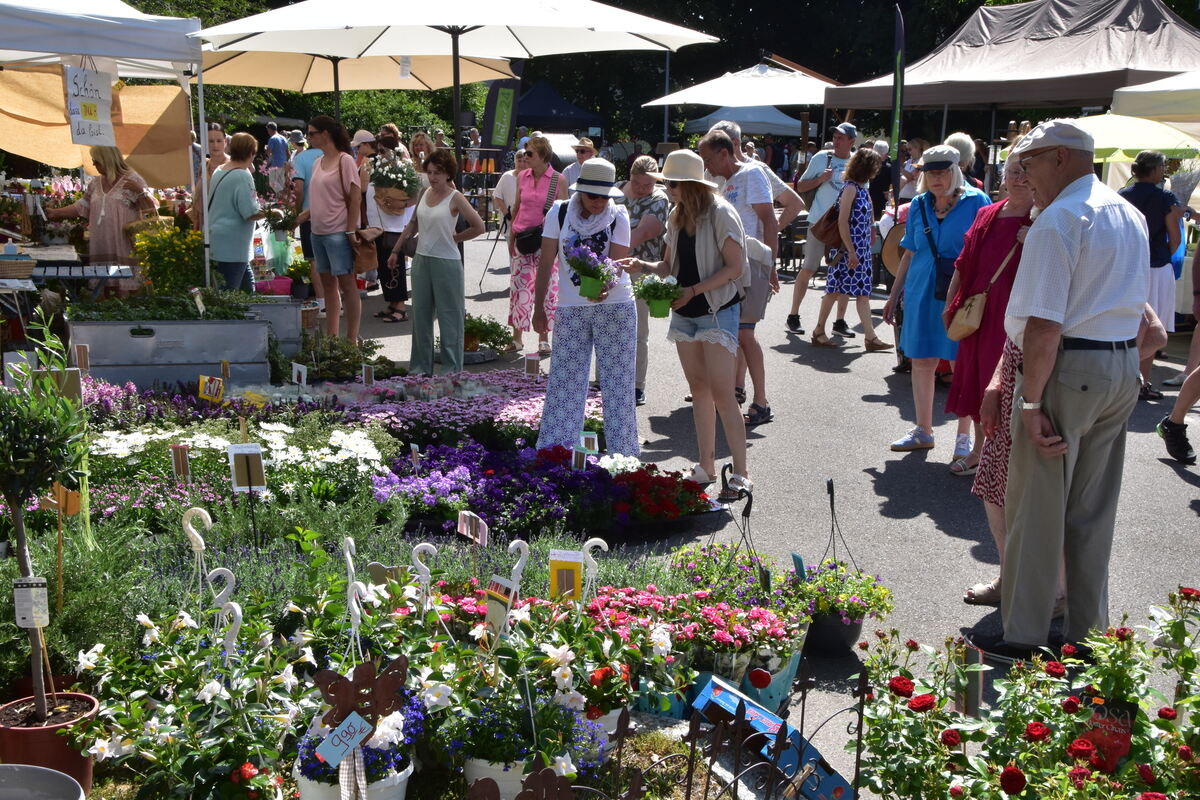 Rosenmarkt Mössingen FOTO MEYER045