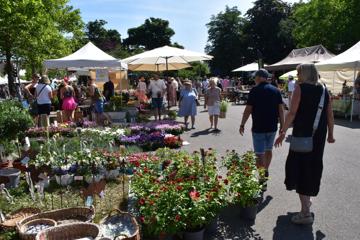 Rosenmarkt Mössingen FOTO MEYER046