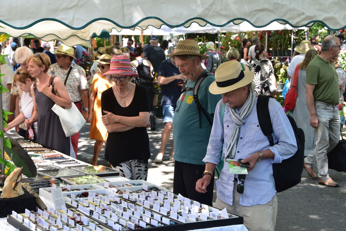 Rosenmarkt Mössingen FOTO MEYER049