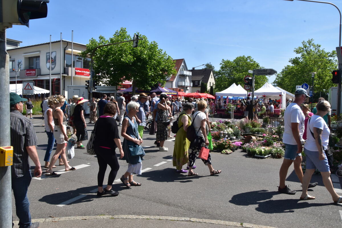 Rosenmarkt Mössingen FOTO MEYER050