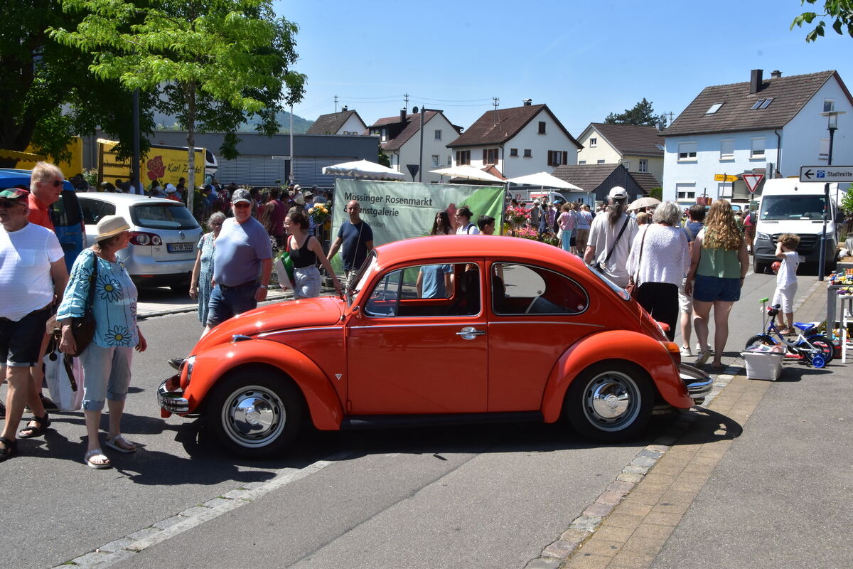 Rosenmarkt Mössingen FOTO MEYER052