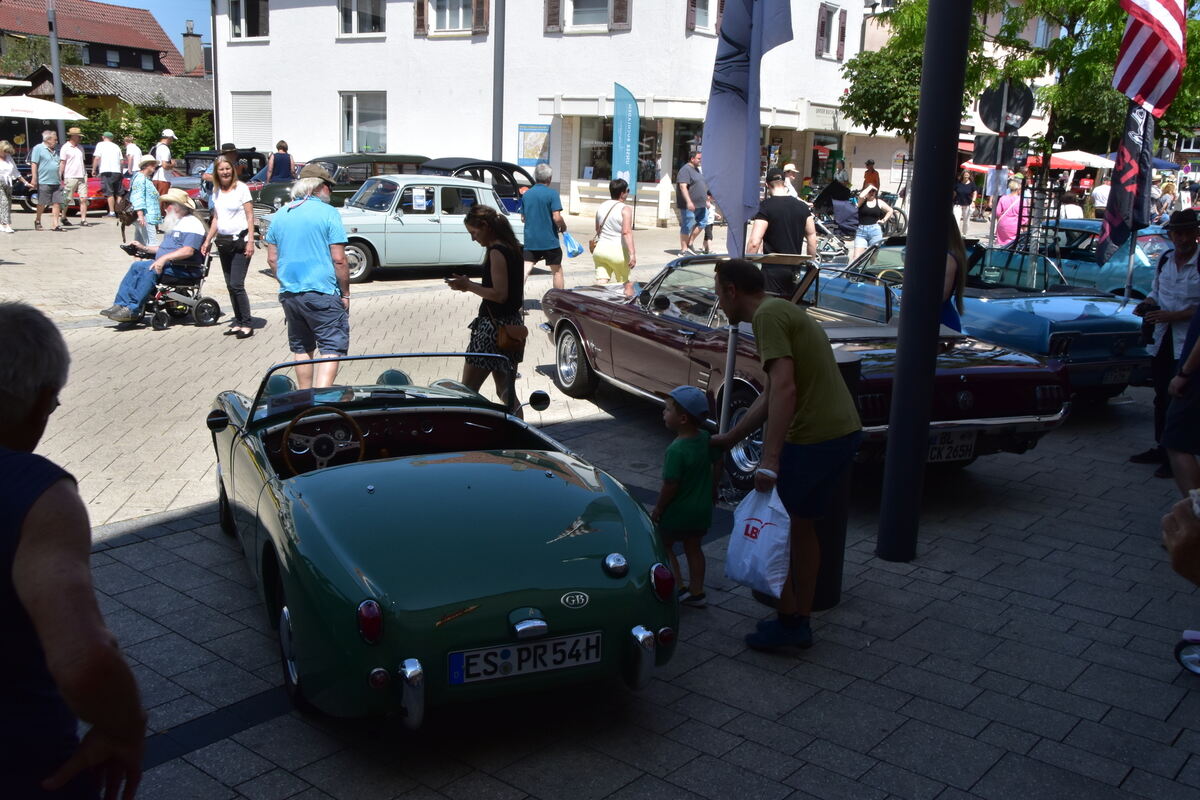 Rosenmarkt Mössingen FOTO MEYER065
