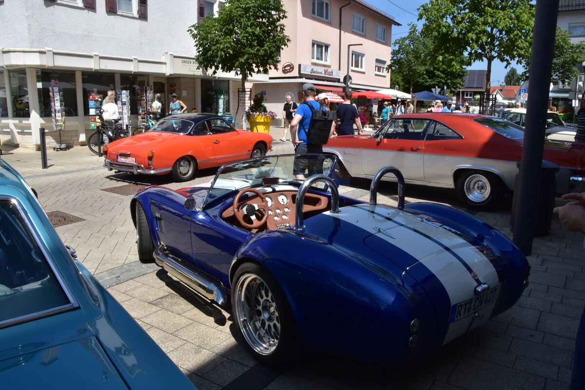 Rosenmarkt Mössingen FOTO MEYER067