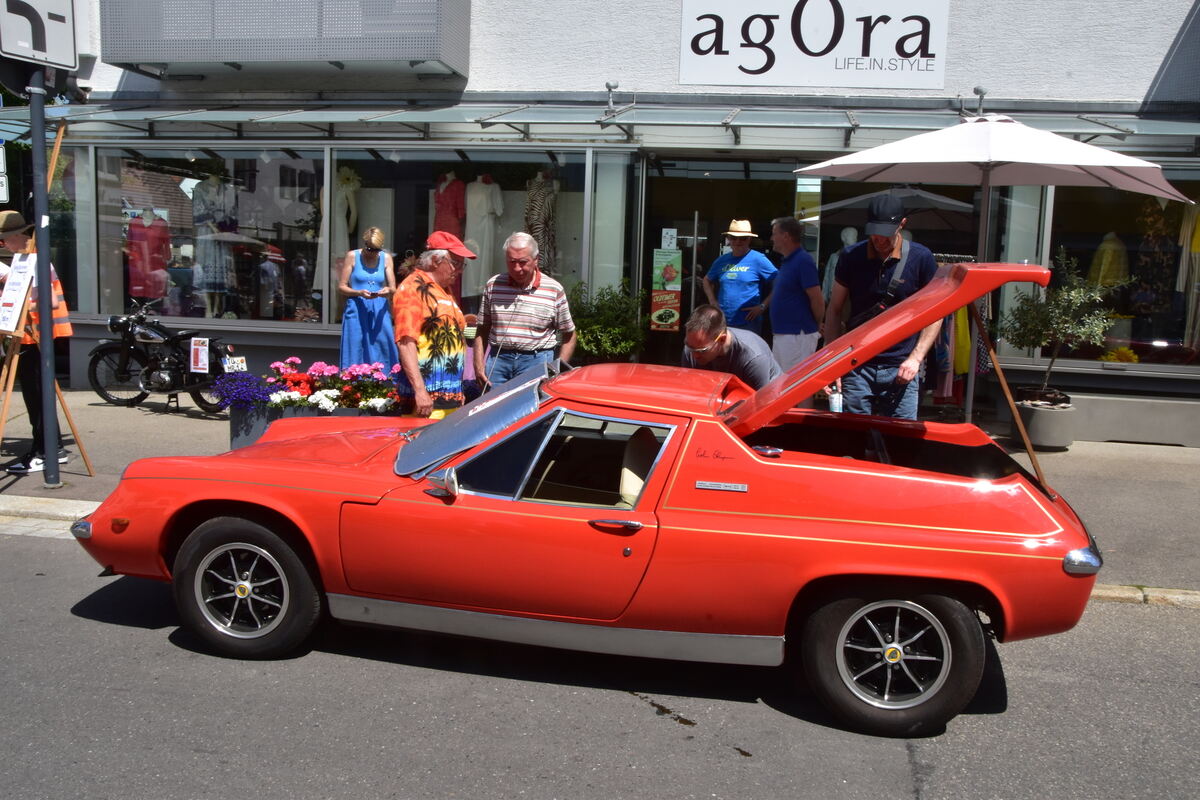 Rosenmarkt Mössingen FOTO MEYER068