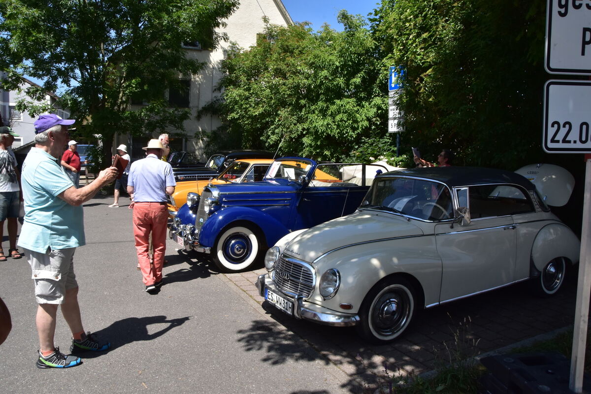 Rosenmarkt Mössingen FOTO MEYER072