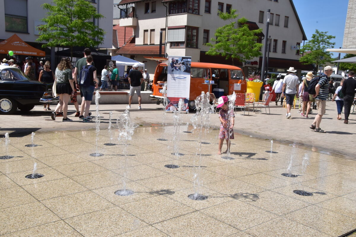 Rosenmarkt Mössingen FOTO MEYER074