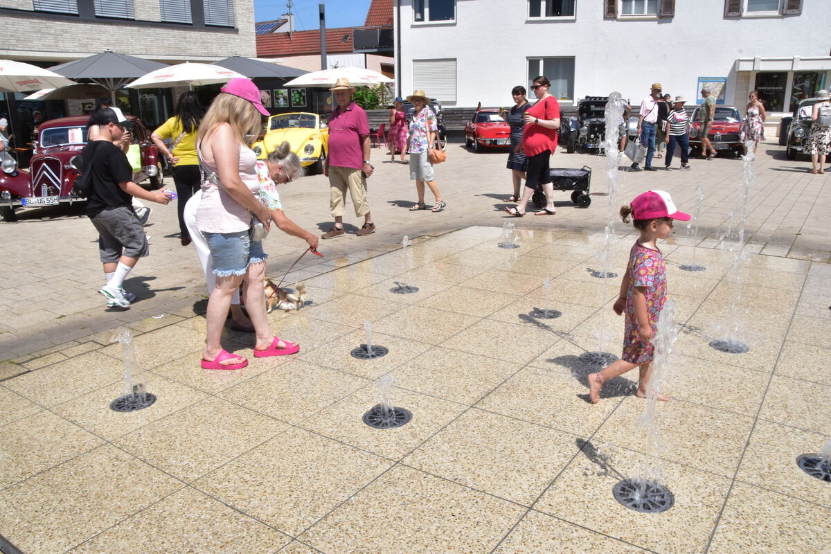 Rosenmarkt Mössingen FOTO MEYER079