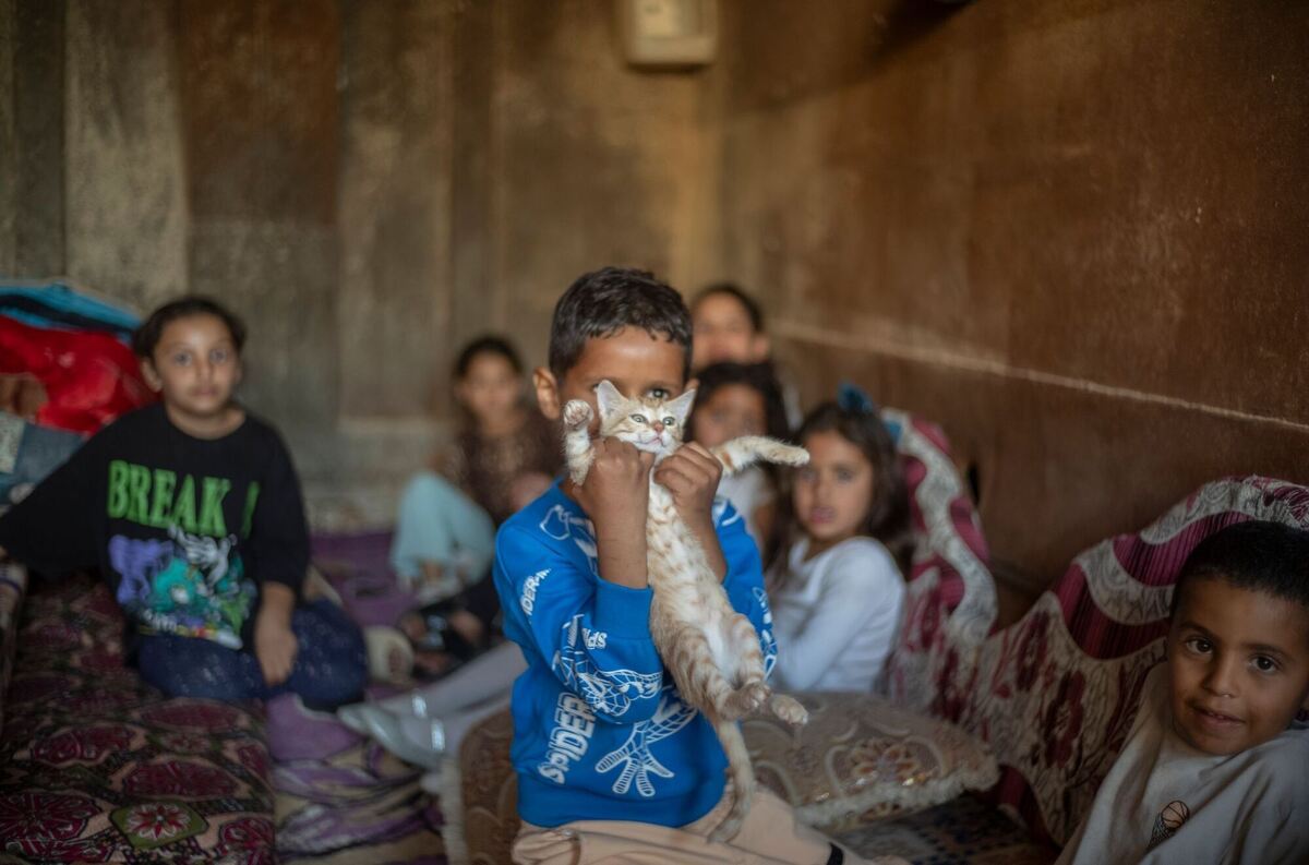 Nahostkonflikt - Israel