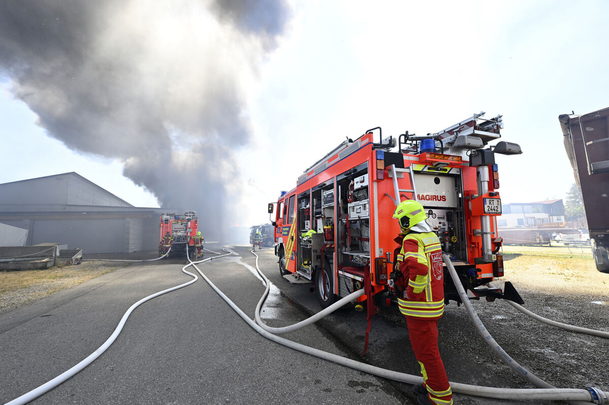 brand_alba_06_25_pieth_15