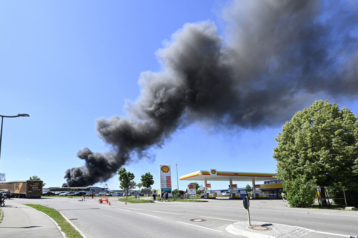 brand_alba_06_25_pieth_2