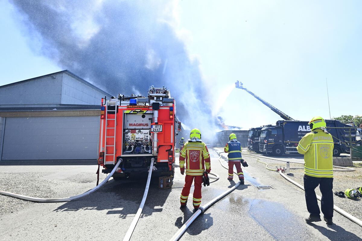 brand_alba_06_25_pieth_4