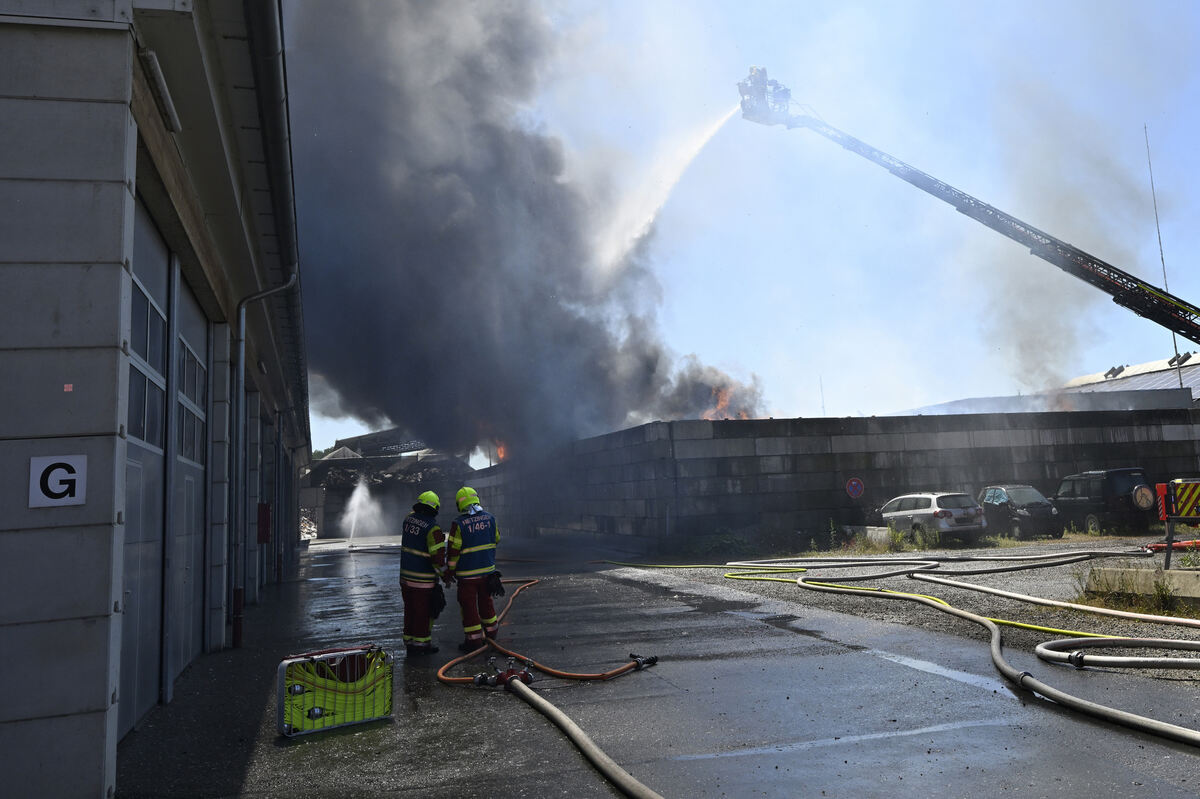 brand_alba_06_25_pieth_6