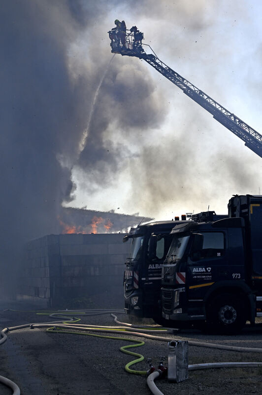 brand_alba_06_25_pieth_7