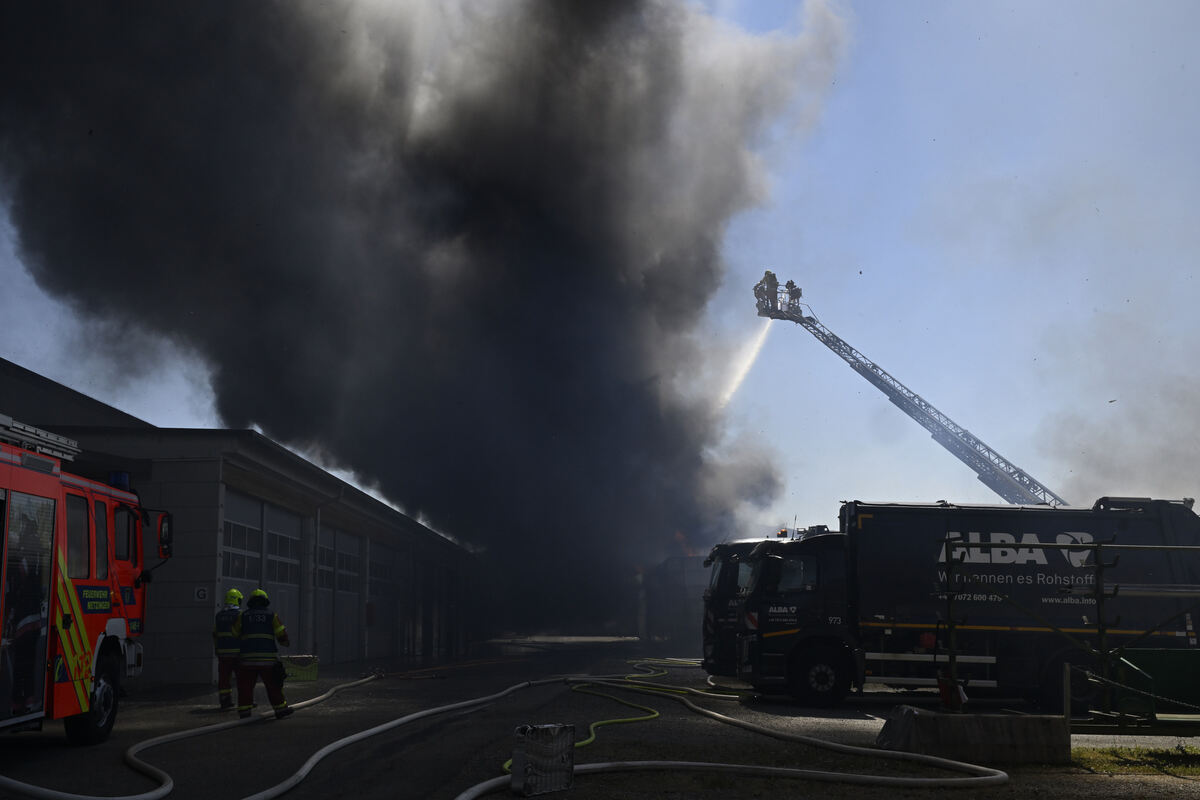 brand_alba_06_25_pieth_8