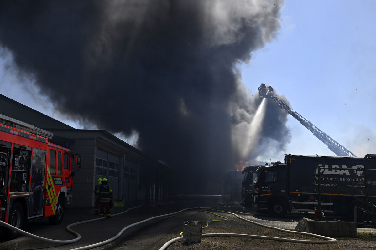 brand_alba_06_25_pieth_9