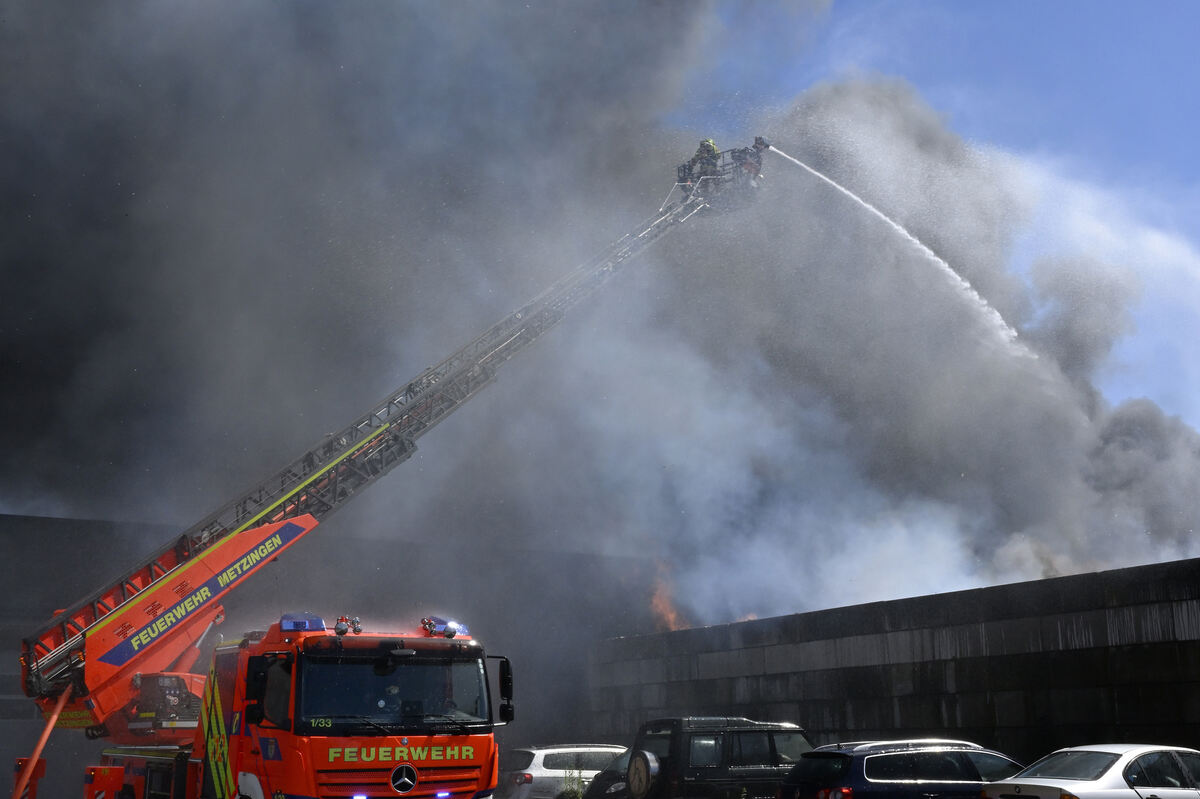 brand_alba_06_25_pieth_11