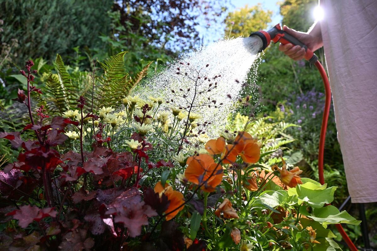 Hitze in Deutschland - Stuttgart Hitze in Deutschland - Stuttgart