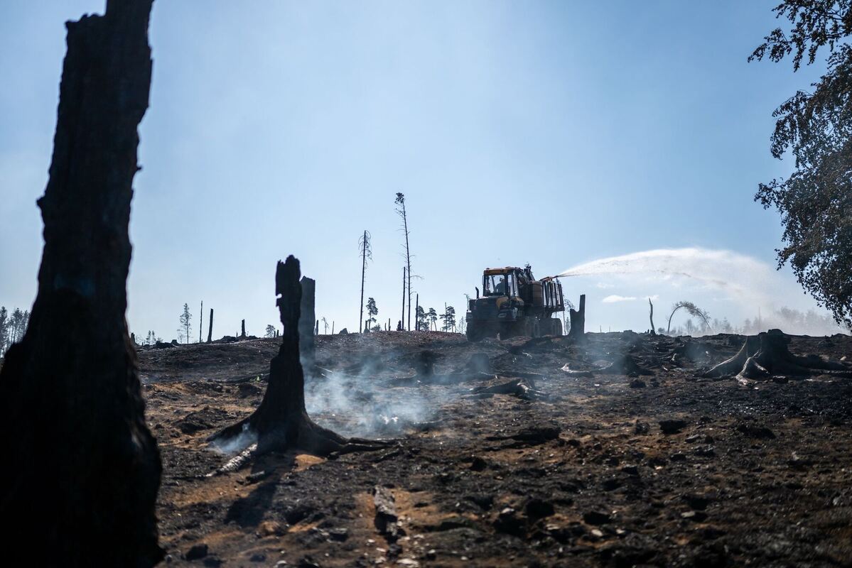 Waldbrand in Thüringen - Saalfelder Höhe