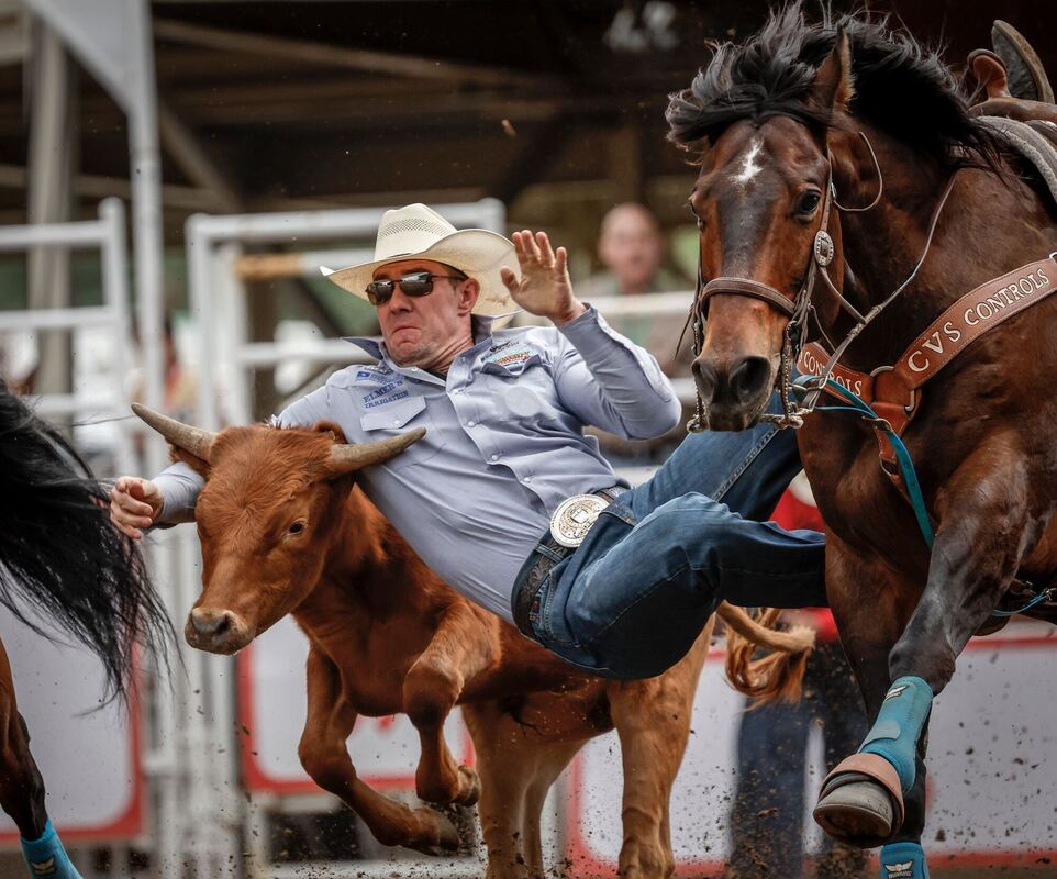 Calgary Stampede Rodeo