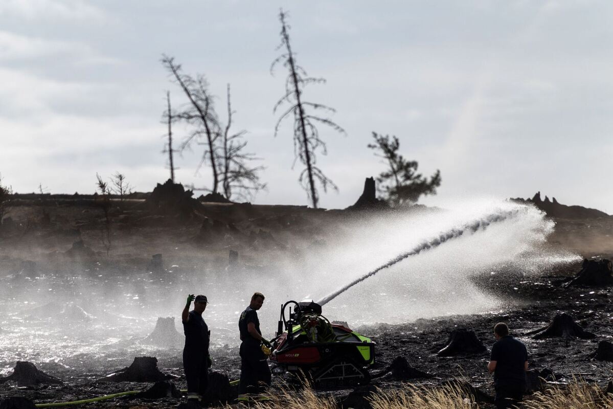 Waldbrand in Thüringen - Saalfelder Höhe Waldbrand in Thüringen - Saalfelder Höhe