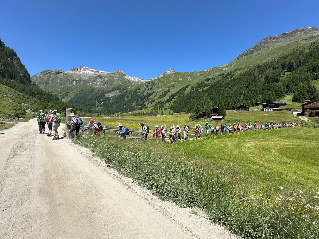 GEA-DAV-Wanderreise_Osttirol_Iris Goldack (114)