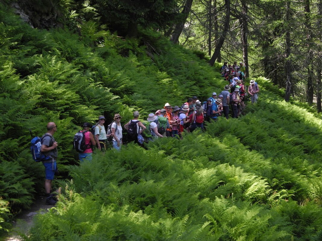 GEA-DAV-Wanderreise_Osttirol_Marc Roeder (2)