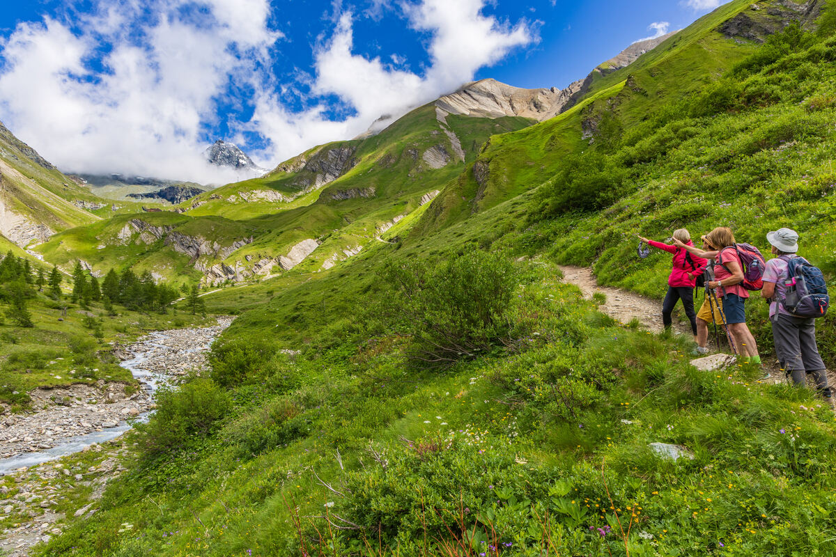 GEA-DAV-Wanderreise_Osttirol_Helmut Kober (3)