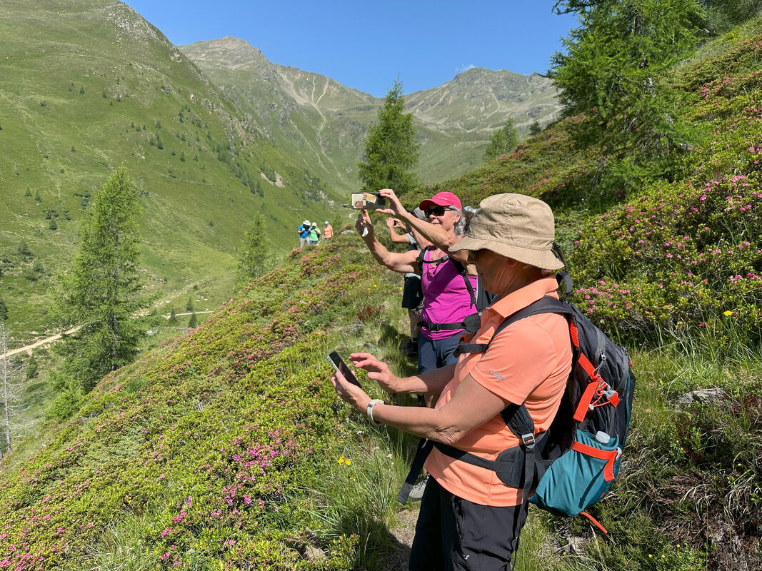 GEA-DAV-Wanderreise_Osttirol_Iris Goldack (30)