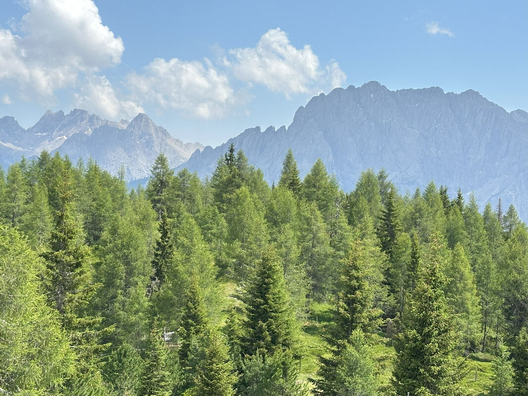 GEA-DAV-Wanderreise_Osttirol_Iris Goldack (50)