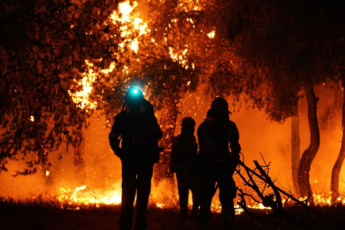 Waldbrand in Griechenland Waldbrand in Griechenland
