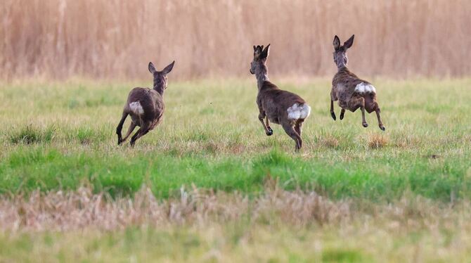 Wetter in Baden-Württemberg