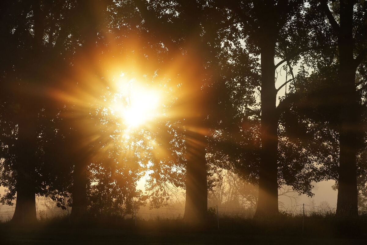 Wetter in Baden-Württemberg Wetter in Baden-Württemberg