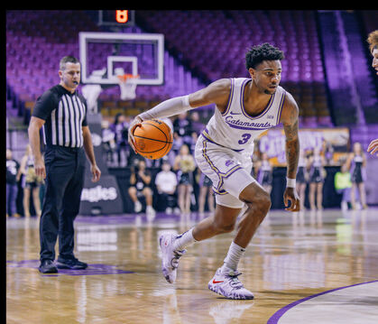 Mit Bernard Pelote als siebter Neuverpflichtung ist die Kaderplanung der Tigers vorerst abgeschlossen.