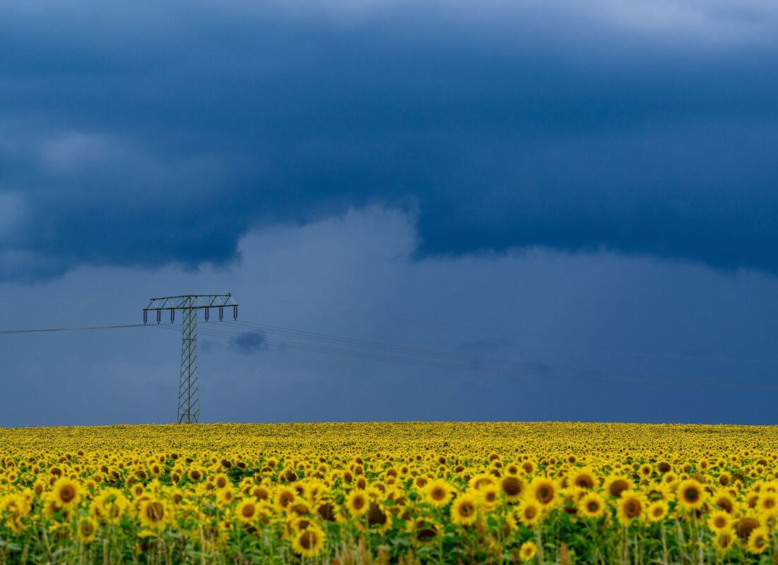 Wetter in Brandenburg Wetter in Brandenburg
