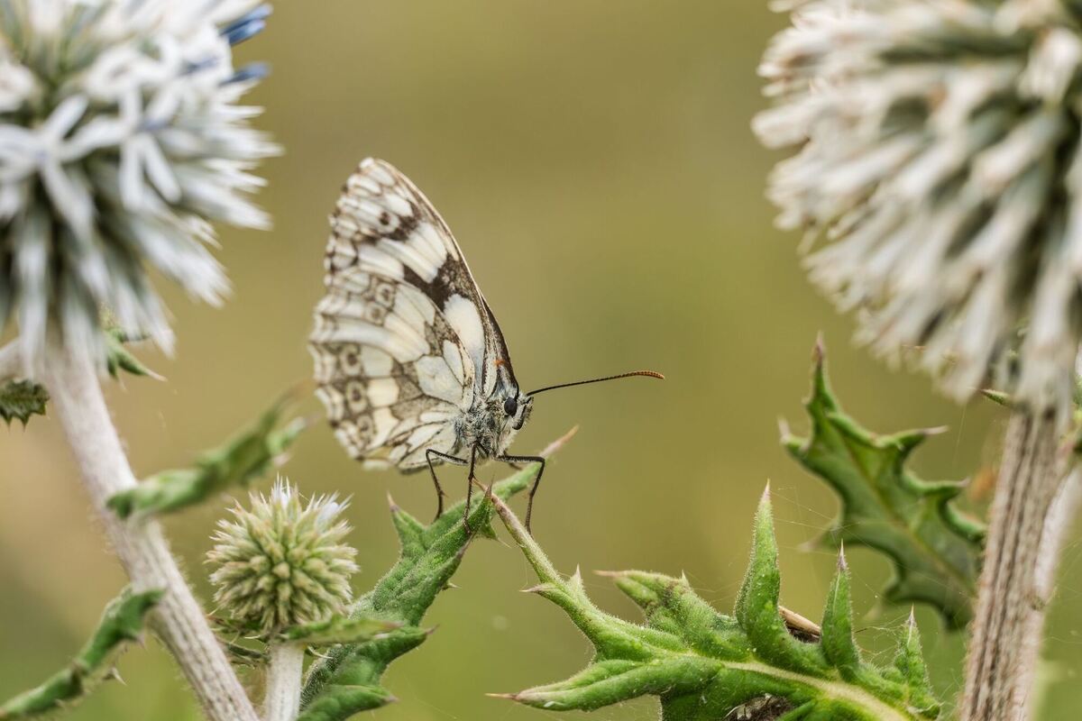 Wetter in Baden-Württemberg
